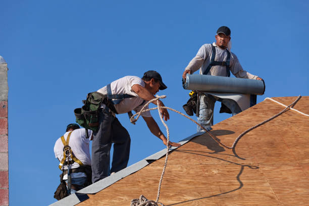 Best Roof Gutter Cleaning  in Oroville East, CA